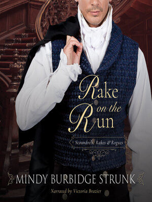 cover image of Rake on the Run